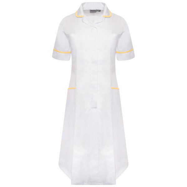 Ladies Dress Thumbnail