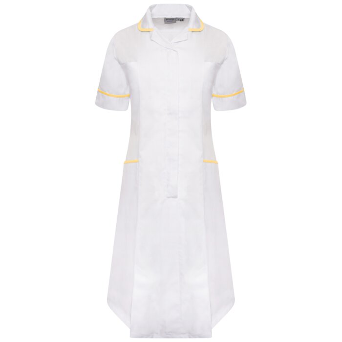 Ladies Dress Thumbnail