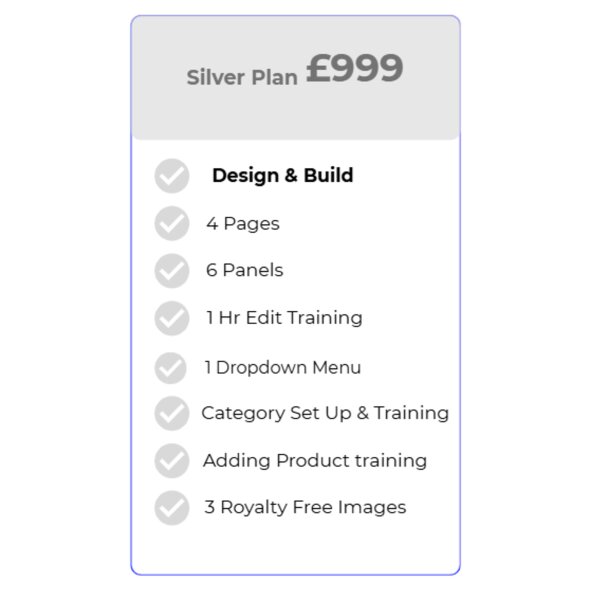 Website Silver Plan Thumbnail